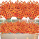 Grunyia Outdoor Artificial Fall Flowers – 7-Stem UV-Resistant Bundle
