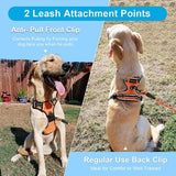 Orange and black Petmegoo no-pull dog harness showing front D-ring clip, back attachment point, and reflective stitching - view 3