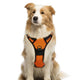 Petmegoo Adjustable No Pull Dog Harness - Front & Back Clip, Reflective Orange
