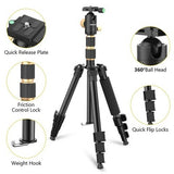 UBeesize 71-inch silver aluminum travel tripod with 360-degree ball head extended full height with phone mount adapter included - view 3