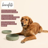 Sage green silicone dog bowl with suction cup base, 7.5 inches wide, 5-cup capacity for medium to large dogs - view 2
