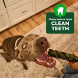 Greenies Occupy Twists chicken flavor 24-count 34.6 oz bag of rawhide-free calming dental chews for adult dogs - view 4