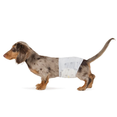 Amazon Basics white disposable male dog diaper wraps small size 30 count pack with wetness indicator on white background
