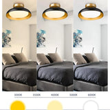 Kudos 12-inch flush mount LED ceiling light fixture with black metal frame and champagne gold interior accent - view 3