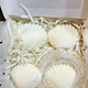 Handmade Seashell Candles 4-Pack - Floral Scented with Clear Glass Holder