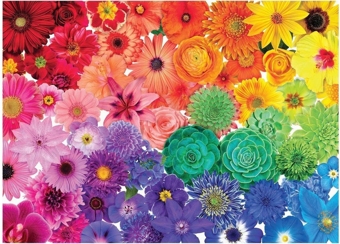 MICNVOLC 1000-piece rainbow flower jigsaw puzzle box and completed 29.5x19.69 inch colorful floral design