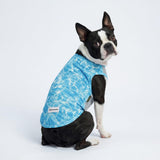 Two Fitwarm small dog cooling shirts in sky blue and mint green with marine starfish and turtle print, UPF 50+ sun protection - view 4