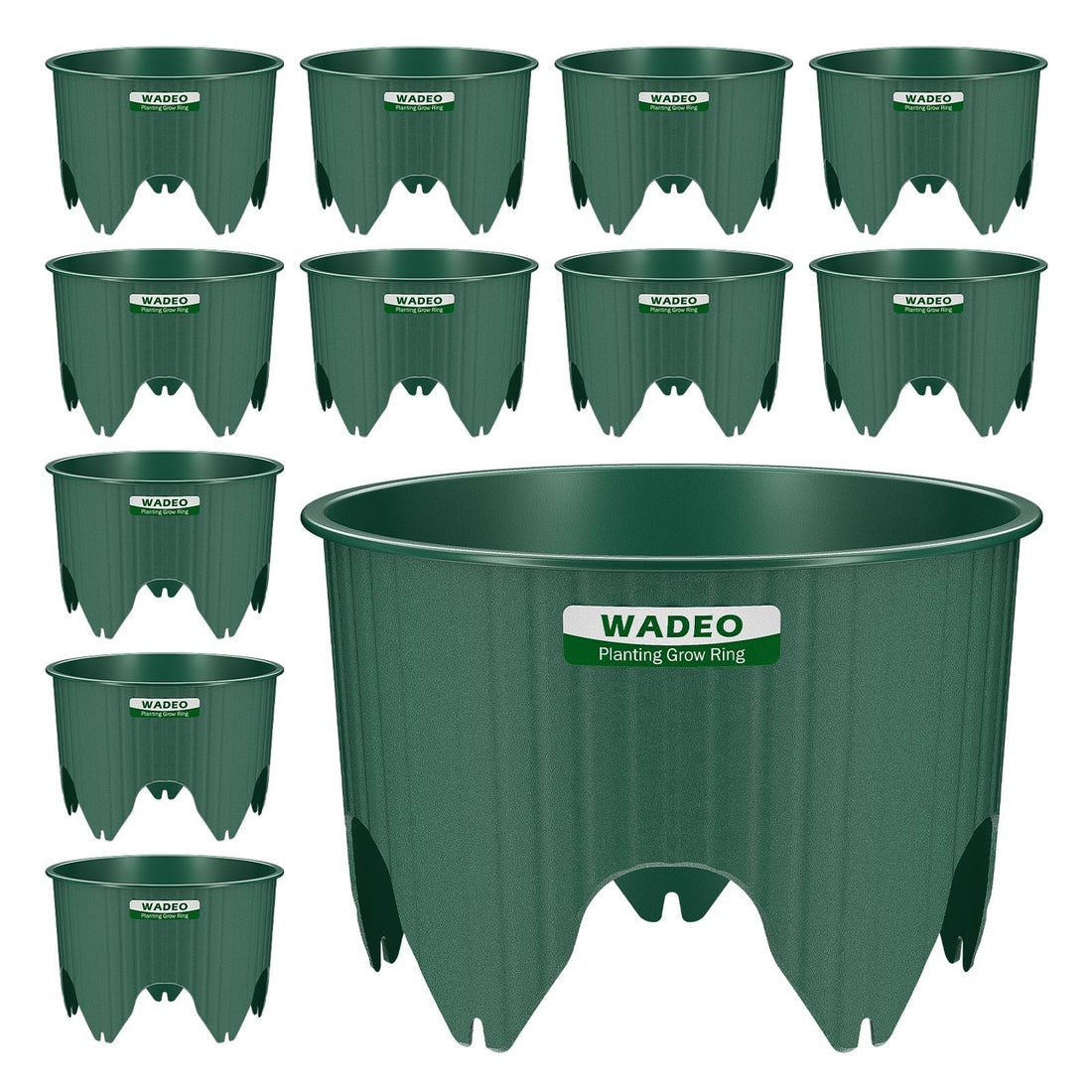 Twelve green 7-inch WADEO plastic planting grow rings arranged in a garden bed around vegetable plants for deep root watering