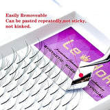 Le-Hoki 5D premade volume lash extensions tray with 120 C curl 0.07mm 12mm black fans in 12 rows - view 3