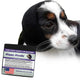Happy Hoodie Dog & Cat Calming Band 2-Pack Small – Anxiety & Noise Relief