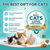 Bottle of MNQAXZ cat calming chews 140 count chicken flavor soft chews for anxiety relief in cats - view 2
