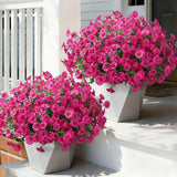 Ivydale 24-Bundle Fuchsia Artificial Morning Glory Flowers – UV Resistant — view 1 of 8