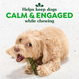 Greenies Occupy Twists chicken flavor 24-count 34.6 oz bag of rawhide-free calming dental chews for adult dogs - view 2