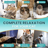 Bottle of MNQAXZ cat calming chews 140 count chicken flavor soft chews for anxiety relief in cats - view 4