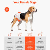 VEVOR white disposable female dog diapers size small 96-count pack with wetness indicator and tail-hole design - view 7