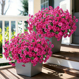 Ivydale 24-Bundle Fuchsia Artificial Morning Glory Flowers – UV Resistant — view 2 of 8