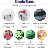 Two 5D diamond painting kits with butterfly and honeybee designs on 12x16 inch canvases with round full drill resin diamonds - view 3