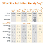 Box of 25 AmazonBasics X-Large 28x34 inch blue and white puppy training pee pads with leak-proof 5-layer design - view 4