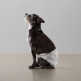 Amazon Basics white disposable male dog diaper wraps small size 30 count pack with wetness indicator on white background - view 7