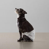 Amazon Basics white disposable male dog diaper wraps for small dogs, 30-count pack with hook-and-loop fasteners - view 7