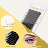 Bingling easy fan DD curl eyelash extensions tray 0.07mm 8mm black silk volume lashes cruelty free - view 6
