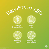 Two GE Classic ST19 clear decorative LED light bulbs with E26 medium base, 60W equivalent soft white, 2-pack packaging - view 3