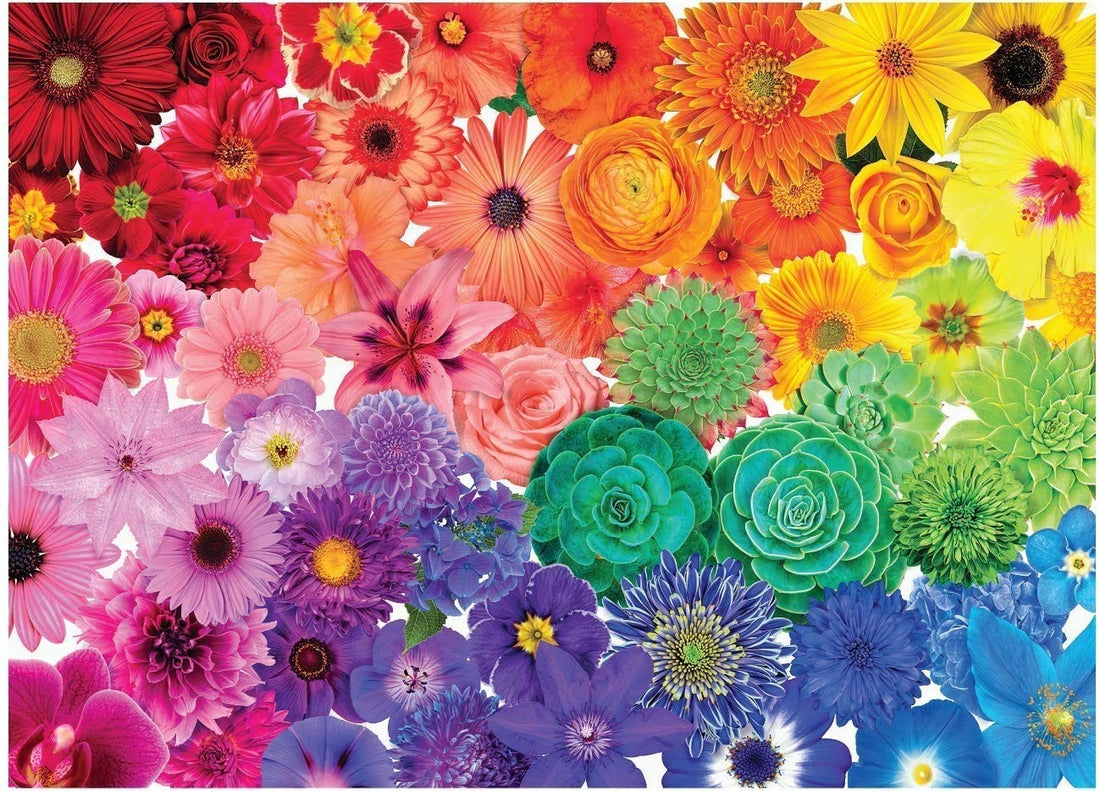 MICNVOLC 1000-piece jigsaw puzzle with vibrant rainbow flower design, finished size 29.5 by 19.69 inches, new in box