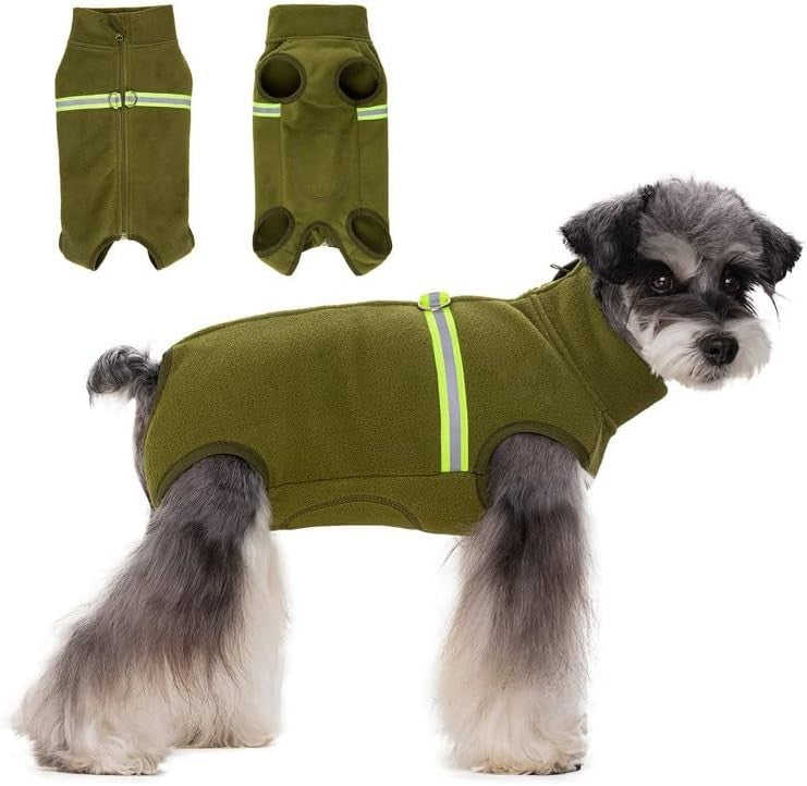 Green polar fleece dog bodysuit on small puppy showing reflective strip and full-back zipper, XS winter coat